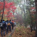 관기시장 이미지