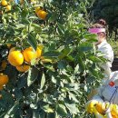 남원읍-72 이미지