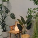 성모좋은정신건강의학과의원 이미지