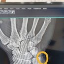 다온튼튼정형외과의원 이미지