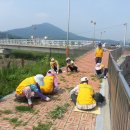 벌교게이트볼장 이미지