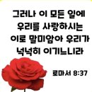 믿음