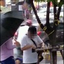 리본나무 이미지
