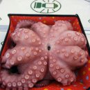 예슬이네 이미지