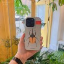 모디자인클럽 이미지