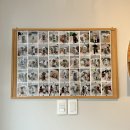 PET PRINCE (애견샵) | 부천 상동 애견미용 내돈내산 추천 블라썸펫, 배냇미용부터 4년째 다니는 후기