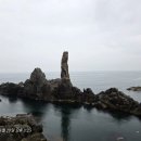 모퉁이돌아서면.. | [공지] [삼척 여행] 15분의 기적, 시간별로 따라 걷는 초곡용굴촛대바위길 비 오는 날 힐링 코스