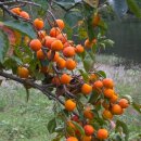 전북주유소 이미지