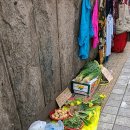 깜찍이품바공연장 | 성남 모란시장 탐방, 코로나 정국에서 전통 시장 나들이/ 코로나 전과 코로나 후의 비교 분석/ 한국의...