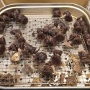 서구-57 | [대구 서구] 산더미 미성돼지국밥 두류점 푸짐하고 깔끔한 국밥 맛집 방문 후기