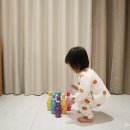 타이거볼링 이미지