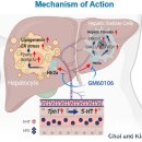 제이디바이오 이미지
