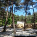 남원자연휴양림 | 전자휴 남원 자연휴양림