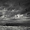 바다여인숙 이미지