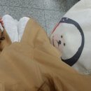 에이클로즈