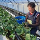 일산1리 이미지