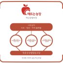 해뜨는아침농장 이미지