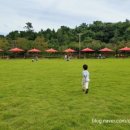 단감테마공원 이미지