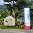 교동장독대마을 이미지