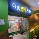 모티어학원