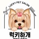 럭키하개 이미지