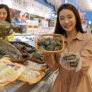 롯데마트 이미지