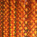 재선농장 이미지