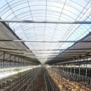 이삼구농장 이미지