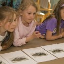 멍멍이와 야옹이 이미지