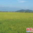 로인활동실