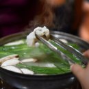 오징어 물오른 동해 · 민어 이름난 서해 · 갯장어 꽃피는 남해… 여름에 더 맛난, 바다서 만난 별미 이미지