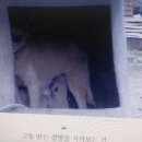 기만농장 이미지