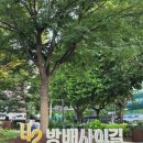 (강좌번호:13) 건강요가1 | 방배동요가 이하늬요가 &#39;코브라요가&#39; : 시설, 가격, 강사진, 수업 솔직 후기 (민생회복지원금 사용 가능...
