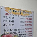 은행나무갈매기 이미지