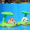 토리푸하우스 이미지