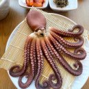 속초강릉전복해물뚝배기 이미지