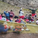 삼성열린생태 어린이집 이미지