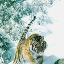 행복느낌 이미지