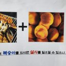 은행집숯불장어식당 이미지