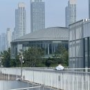 드라이기로도 못말리는 좌충우돌 우당탕탕후루루루 햄미의 일주일
