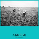 디레디레 이미지