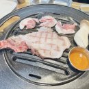 숙성고집 이미지