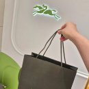 자갈 | 롱샴 르 플리아쥬 오리지널 핸들 파우치 자갈 컬러 구매 후기