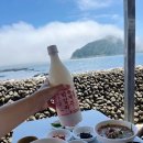 보목해녀의집 | 제주도 현지인 맛집 <보목해녀의집> 물회가 유명한 서귀포 해녀의집 추천