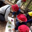 예사랑유치원 이미지