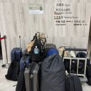 씨크루즈 | 가성비 속초 씨크루즈호텔 하프오션뷰 2박 후기