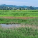 사비 그리고 달 이미지