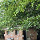 여기, 지리산 이미지