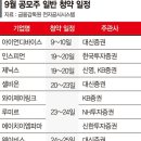 (주)아이언항공