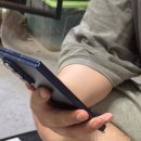 털보밧데리 | 털보가 직접 써봅니다! 폴드 7 블루쉐도우 언박싱&amp;리뷰 쇽샥 보고 가시겠어요? ✨